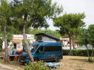 Les pins donnent de l'ombre au camping Baia da Nicola, merveilleusement situé près de la plage.