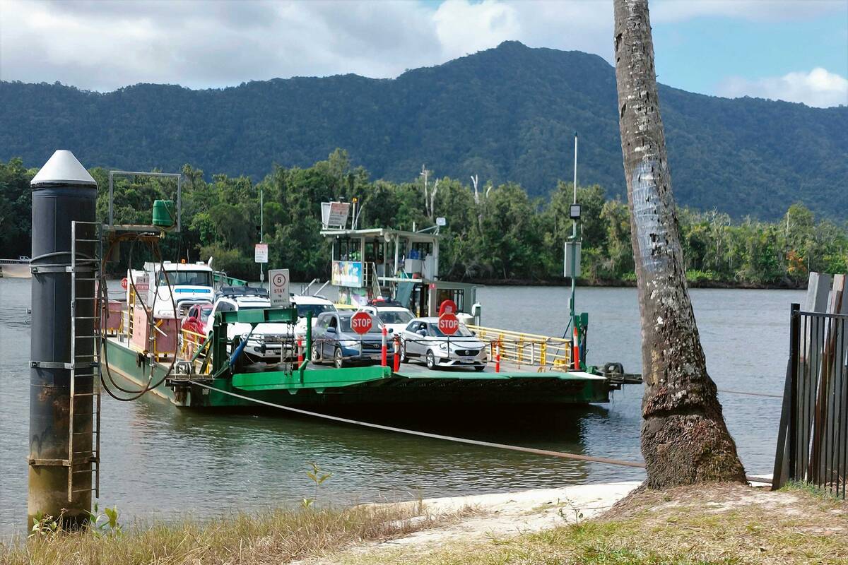 Auch wir benützen die Seilfähre zur Überquerung des Daintree Rivers.