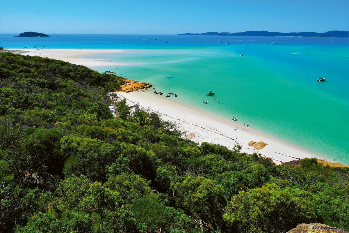 L'île du Parc national des îles Whitsunday, envahie de hoop pines (pins cerceaux), à l’aspect frappant, a une allure paradisiaque.
