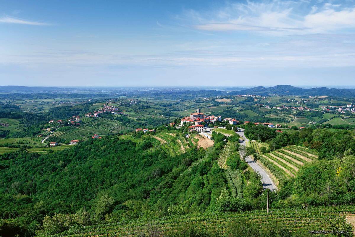 Blick über die Weinregion und die Burg von Dobrovo.