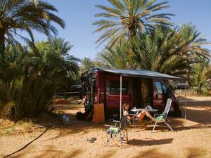 Notre emplacement au camping sous les palmiers.